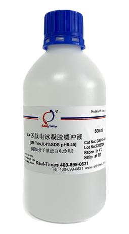 4×多肽电泳凝胶缓冲液