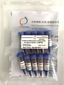 5×非变性非还原蛋白上样缓冲液 10×1ml
