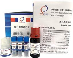 蛋白浓缩试剂盒