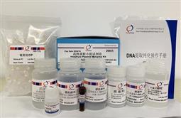 高纯质粒小提试剂盒