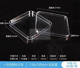 塑料方形培养皿 非独立包装 13×13cm