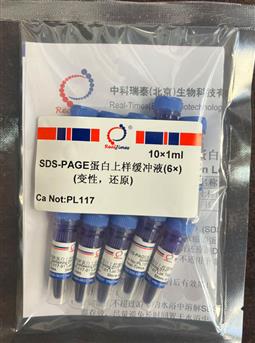 SDS-PAGE蛋白上样缓冲液(6×) 10×1ml
