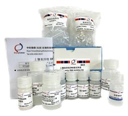 土壤基因组DNA提取试剂盒