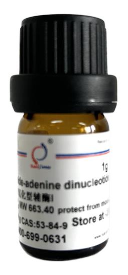 NAD 氧化型辅酶I