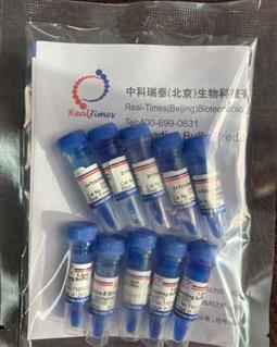 2×Tricine多肽上样缓冲液（变性，还原，含溴酚蓝）