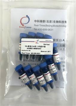 10×膜蛋白A型上样缓冲液