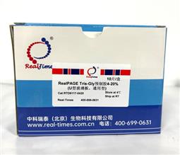 10%RealPAGE Tris-Glycine预制胶（塑料板） 15孔