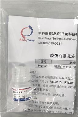 膜蛋白重悬液（BN电泳用）