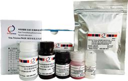 Tris-Tricine-PAGE凝胶制备及电泳试剂盒（多肽变性电泳）