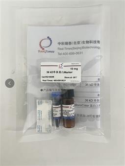 36 kD单条蛋白Marker