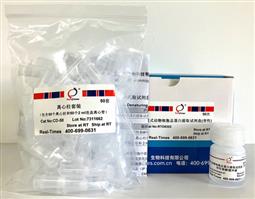 柱式动物总蛋白提取试剂盒（细胞样品，变性提取）