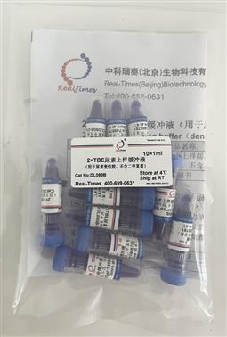 2×TBE尿素上样缓冲液（用于尿素变性胶，不含二甲苯菁）