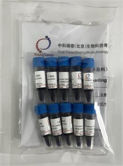 10×DNA上样缓冲液（单染料）
