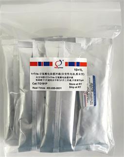 1×Tris-甘氨酸电泳缓冲液（非变性电泳，粉末型）