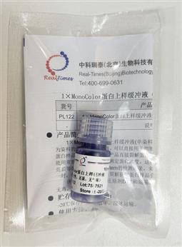 1×MonoColor蛋白上样缓冲液 单染料（变性，还原，无气味）