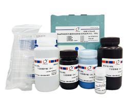 RealPAGE 彩色PAGE凝胶快速制备试剂盒（一步法）10%