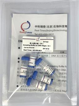 退火缓冲液（5×）