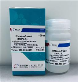 RNase-free水/DEPC水