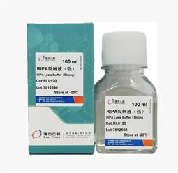 RIPA裂解液（强）