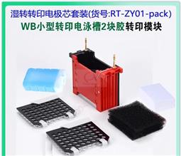 湿转转印电极芯套装