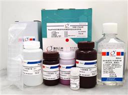 RealPAGE类梯度PAGE凝胶快速电泳试剂盒 125板