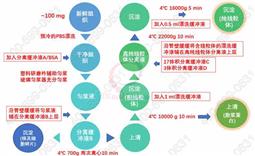 动物线粒体提取试剂盒（软组织样品）30次