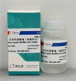 非变性裂解液（细胞样品）