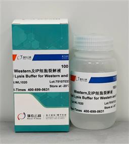 Western及IP细胞裂解液