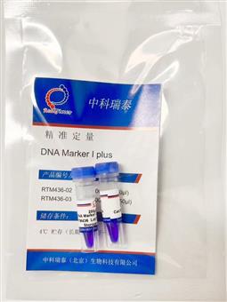 DNA Marker I plus（100-700 bp）